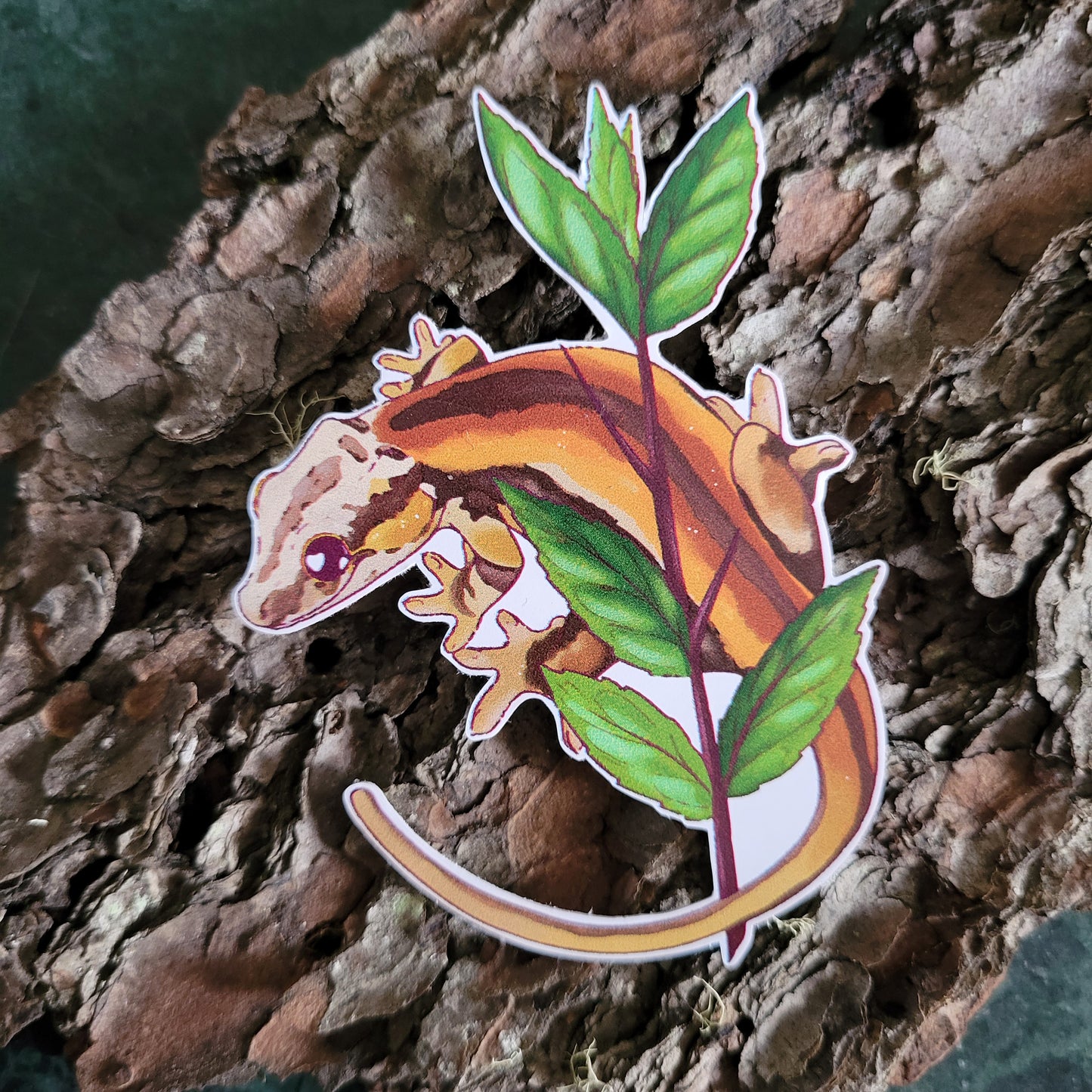 Gargoyle Gecko Sticker